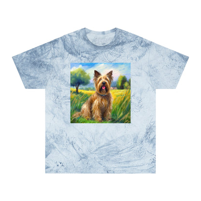 Briard Classic  Color Blast T-Shirt