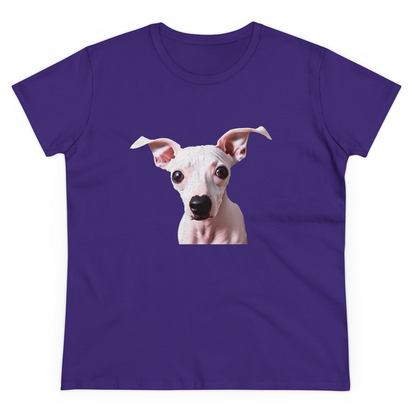 American Hairless Terrier Women's Midweight Cotton Tee
