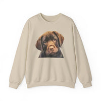 Chocolate Labrador Retriever Puppy Unisex 50/50 Crewneck Sweatshirt