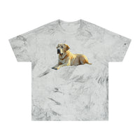 Broholmer - Danish Mastiff - Unisex Color Blast T-Shirt