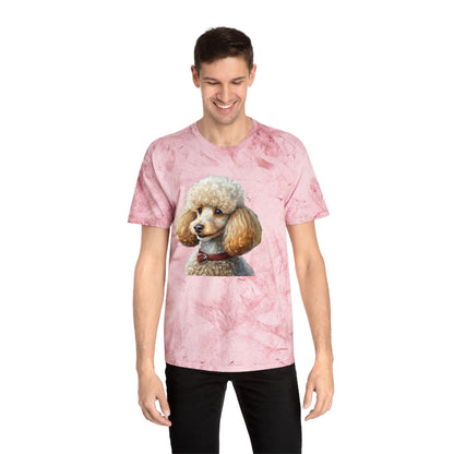 Standard Poodle #2 - Classic Color Blast T-Shirt
