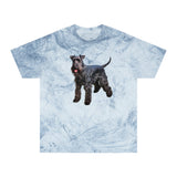 Kerry Blue Terrier Unisex Color Blast T-Shirt