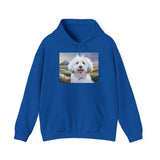 Coton de Tulear  --  Unisex 50/50  Hooded Sweatshirt