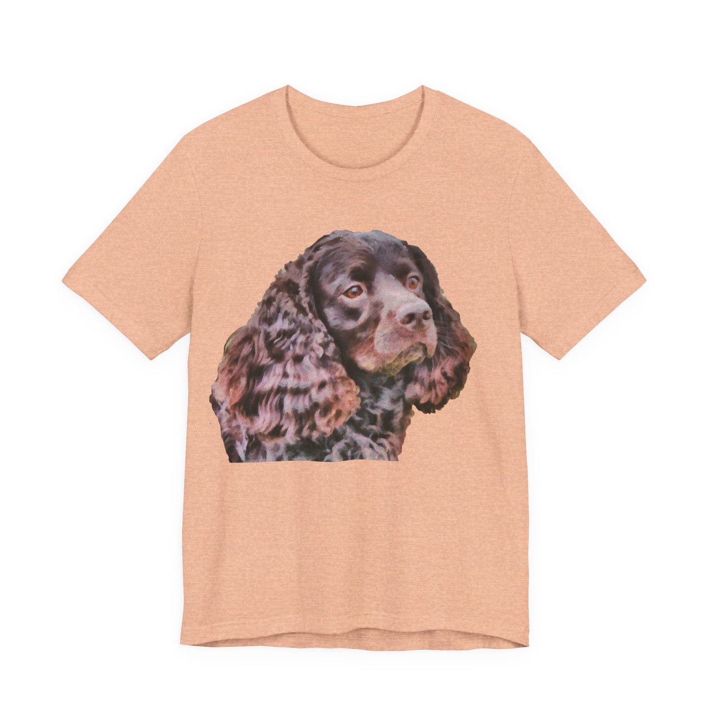 American Water Spaniel - Unisex Jersey Short Sleeve Tee
