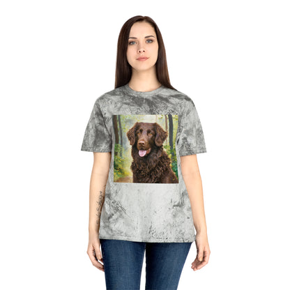 Curly-Coated Retriever Color Blast T-Shirt