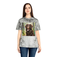 Curly-Coated Retriever  Color Blast T-Shirt