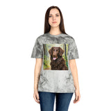 Curly-Coated Retriever  Color Blast T-Shirt