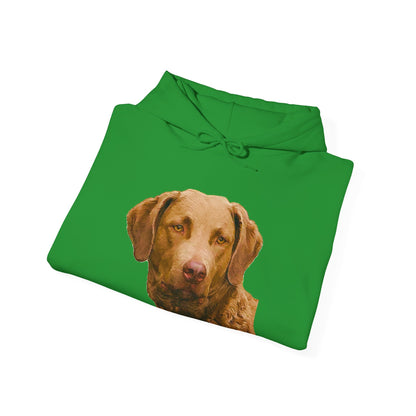 Chesapeake Bay Retriever Unisex 50/50 Hoodie: Cozy Companion