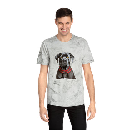 Cane Corso Unisex Color Blast T-Shirt