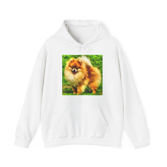 Pomeranian 'Pom Pom' Unisex 50/50 Hoodie
