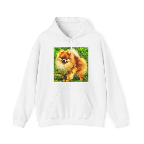 Pomeranian 'Pom Pom' Unisex 50/50 Hoodie