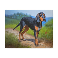 Elegant Transylvanian Scent Hound - Canvas Gallery Wraps - 20 x 16 Inches