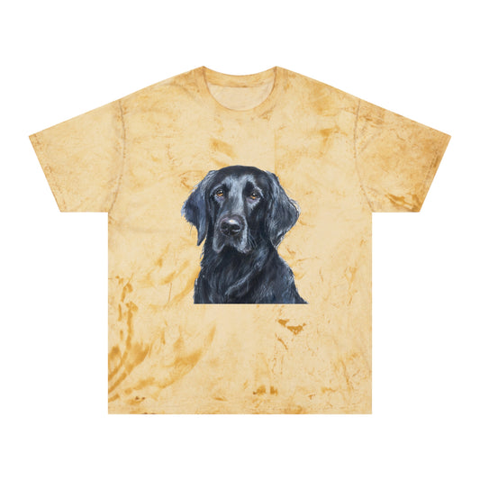 Flat-Coated Retriever Classic Color Blast T-Shirt
