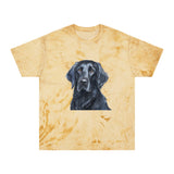 Flat-Coated Retriever Classic Color Blast T-Shirt