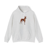 Azawakh -  Unisex 50/50 Hooded Sweatshirt