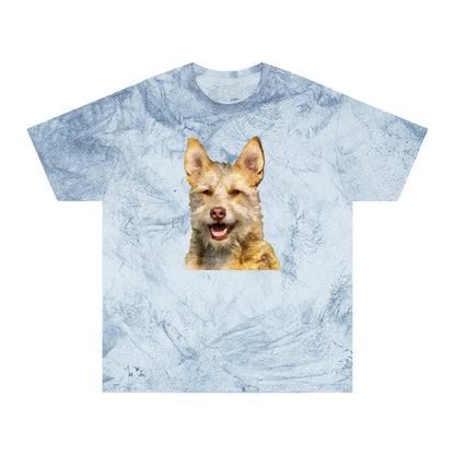 Portuguese Podengo Unisex Cotton Color Blast T-Shirt