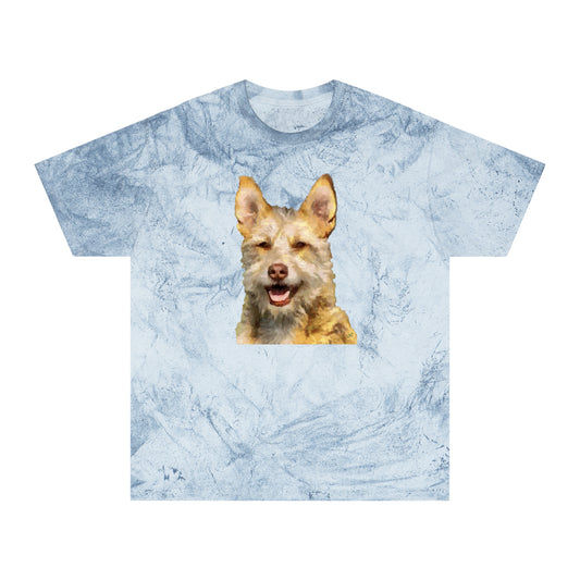 Portuguese Podengo Unisex Cotton Color Blast T-Shirt