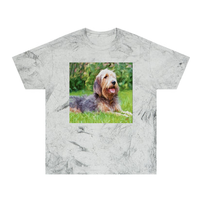 Otterhund Unisex Cotton  -  Color Blast T-Shirt