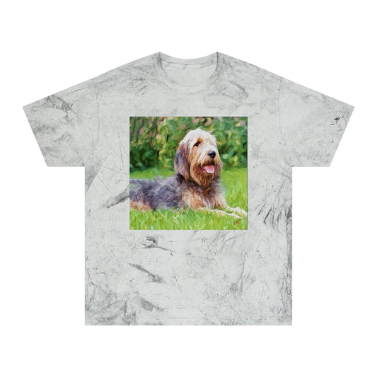 Otterhund Unisex Cotton  -  Color Blast T-Shirt