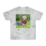 Otterhund Unisex Cotton Color Blast T-Shirt