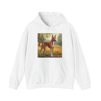 Azawakh 'Tuareg Sloughi' Unisex 50/50 Hooded Sweatshirt