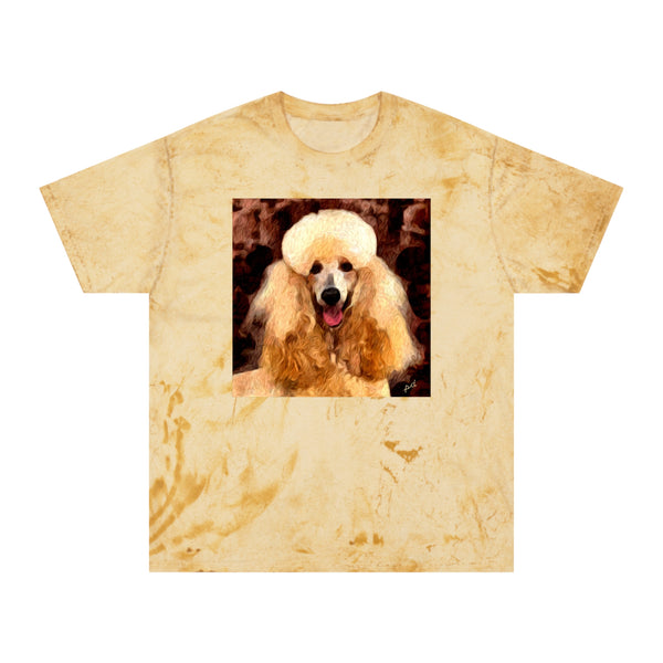 Poodle Cotton Unisex  -  Color Blast T-Shirt