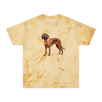 Bloodhound Unisex Color Blast T-Shirt