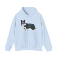 Border Collie 'Andrew' Unisex 50/50 Hooded Sweatshirt