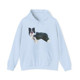 Border Collie 'Andrew' Unisex 50/50 Hooded Sweatshirt