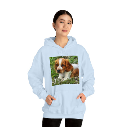 Welsh Springer Spaniel Unisex 50/50 Hoodie