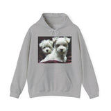 Maltese - Unisex 50/50 Hoodie