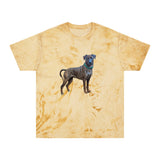 Treeing Tennessee Brindle  Unisex Color Blast T-Shirt