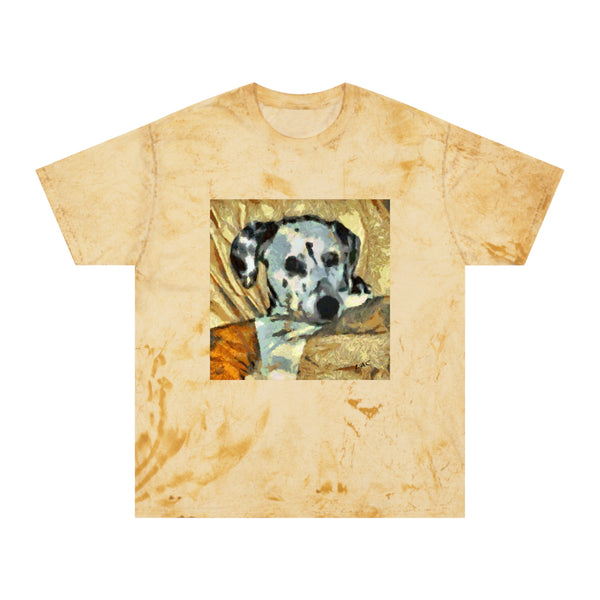 Dalmatian 'Night Time' Classic Color Blast T-Shirt