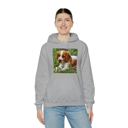 Welsh Springer Spaniel Unisex 50/50 Hoodie