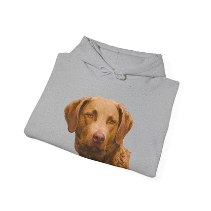 Chesapeake Bay Retriever Unisex 50/50 Hoodie: Cozy Companion