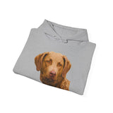 Chesapeake Bay Retriever Unisex 50/50 Hoodie: Cozy Companion