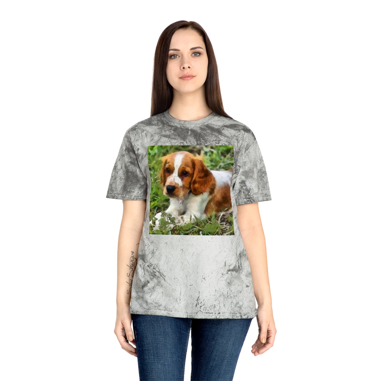 Welsh Springer Spaniel Unisex Color Blast T-Shirt