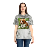 Welsh Springer Spaniel Unisex Color Blast T-Shirt