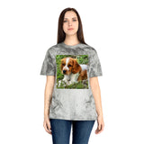 Welsh Springer Spaniel Unisex Color Blast T-Shirt