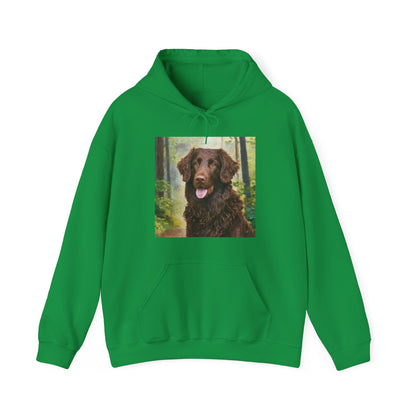 Curly-Coated Retriever 50/50 Hooded Sweatshirt