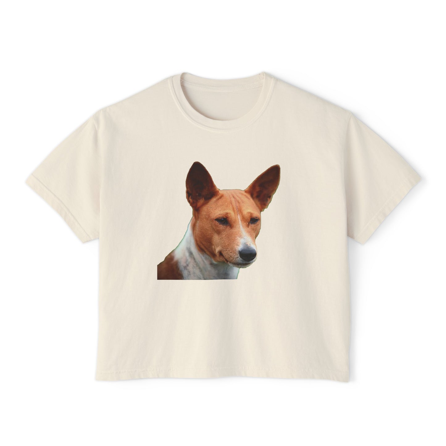 Basenji Women's Oversized Boxy Tee: A Harmony of Style and Comfort
