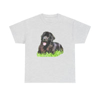 Newfoundland 'Madden' Unisex Heavy Cotton Tee by Doggylips™