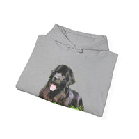Newfoundland 'Madden' Unisex 50/50 Hoodie