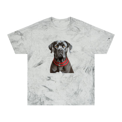 Cane Corso Unisex Color Blast T-Shirt