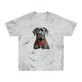 Cane Corso Unisex Color Blast T-Shirt