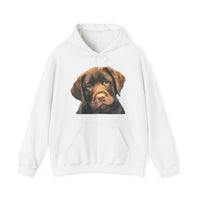 Chocolate Labrador Retriever - Unisex 50/50 Hoodie