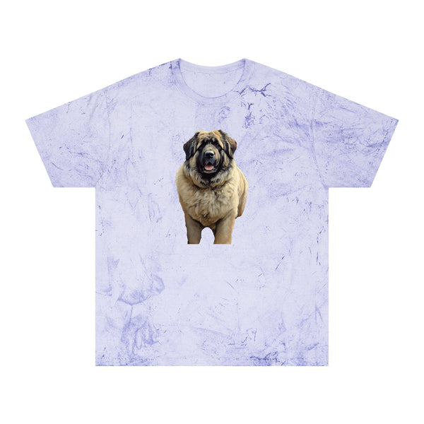 Caucasian Shepherd Dog - Unisex Color Blast T-Shirt