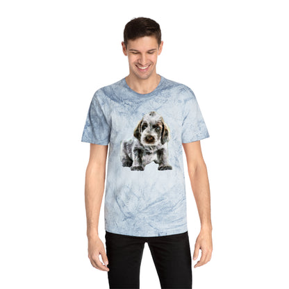 Spinone Italiano Unisex Cotton  Color Blast T-Shirt