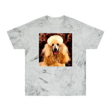 Poodle Cotton Unisex Color Blast T-Shirt