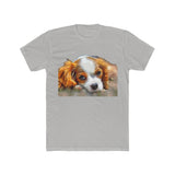 Cavalier King Charles Spaniel Puppy - --  Men's Fitted Cotton Crew Tee
